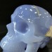 3.62LB Top A+ Blue Chalcedony Crystal Skull Hand-Carved Quartz Crystal Healing Collection Decor Gift