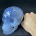 3.62LB Top A+ Blue Chalcedony Crystal Skull Hand-Carved Quartz Crystal Healing Collection Decor Gift