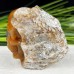 Original 3'' Geode Crystal Skull Chalcedony Jasper Carved Skull Reiki Healing Decoration Gift