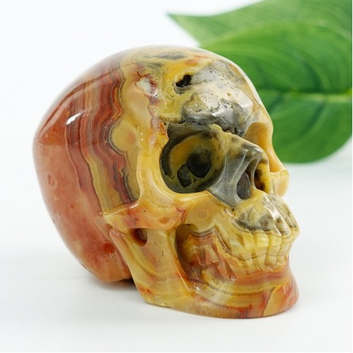 2.0" Crazy Lace Agate Carved Crystal Skull, Chakra and Healing Skull Crystals for Home Decor, Skull Art Collection