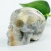 2.0" Crazy Lace Agate Carved Crystal Skull, Chakra and Healing Skull Crystals for Home Decor, Skull Art Collection