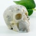 2.0" Crazy Lace Agate Carved Crystal Skull, Chakra and Healing Skull Crystals for Home Decor, Skull Art Collection