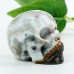 2.0" Red Crazy Lace Agate Carved Crystal Skull, Reki Healing Skull Decor for Home Decor