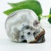 2.0" Red Crazy Lace Agate Carved Crystal Skull, Reki Healing Skull Decor for Home Decor