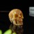 2" Realistic Skull Hand Carved Chalcedony Jasper Quartz Natural Crystal Statue Healing Sculpture