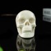 3" Realistic Skull Hand Carved White Ivory Jade Stone Natural Crystal Statue Healing Sculpture