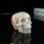 3" Realistic Skull Hand Carved Sakura Agate Quartz Stone Natural Crystal Statue Healing Sculpture