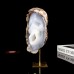 2344g 7.4" Skull Blue Chalcedony Geode Druse Hand Carved Natural Crystal Statue