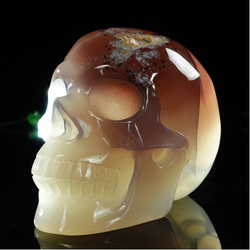 3.5" Skull Agate Quartz Geode Druse Clust Carved Natural Crystal Stone Statue