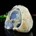 4.4" Blue Chalcedony Rough Stone Carved Realistic Skull Natural Crystal Statue