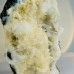 9" Half Skull Carvings Agate Chalcedony Clust Druse Geode Natural Crystal Statue