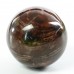 Wholesales 25mm-35mm Petrified Wood Stone Sphere Energy Ball Natural Crystal Statue Healing 1KG