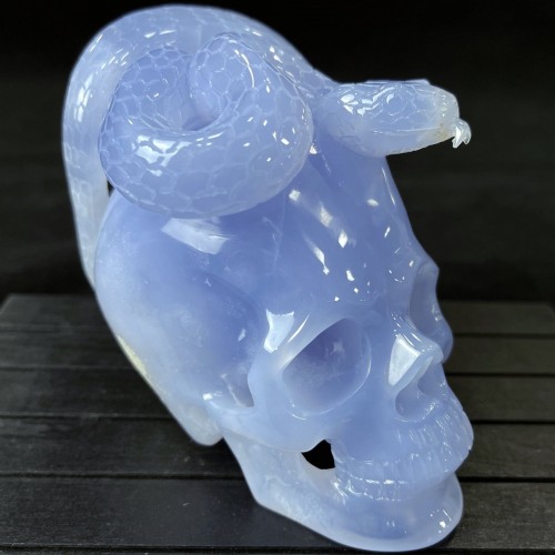 5.4" A+ Blue Chalcedony Skull & Snake Crystal Carving Healing Art Craft Collection Home Office Decor