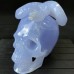 5.4" A+ Blue Chalcedony Skull & Snake Crystal Carving Healing Art Craft Collection Home Office Decor