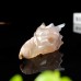 3" Phoenix Bird Head Skull Sakura Agate Carved Natural Crystal Statue Quartz