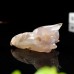 3" Phoenix Bird Head Skull Sakura Agate Carved Natural Crystal Statue Quartz