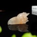 2.5" Phoenix Bird Head Skull Sakura Agate Carved Natural Crystal Statue Quartz