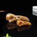 2.5" Ravens Skull Carved Yellow Chalcedony Jasper Natural Crystal Statue Healing