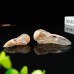 2.5" Ravens Skull Carved Sakura Agate Quartz Stone Natural Crystal Statue Healing